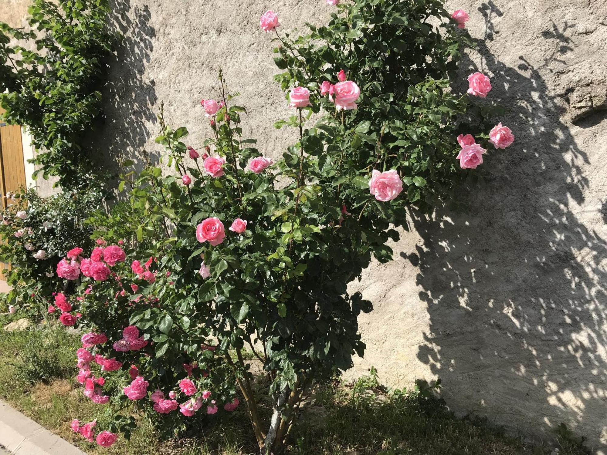 Gite Renove Avec Jardin, Proche Loisirs Et Commerces, A Une Heure De Nancy Et Metz - Fr-1-584-168 Autrepierre エクステリア 写真